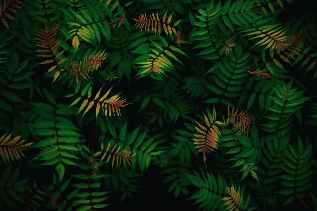 赵露思喊话商家 拒接带货植入